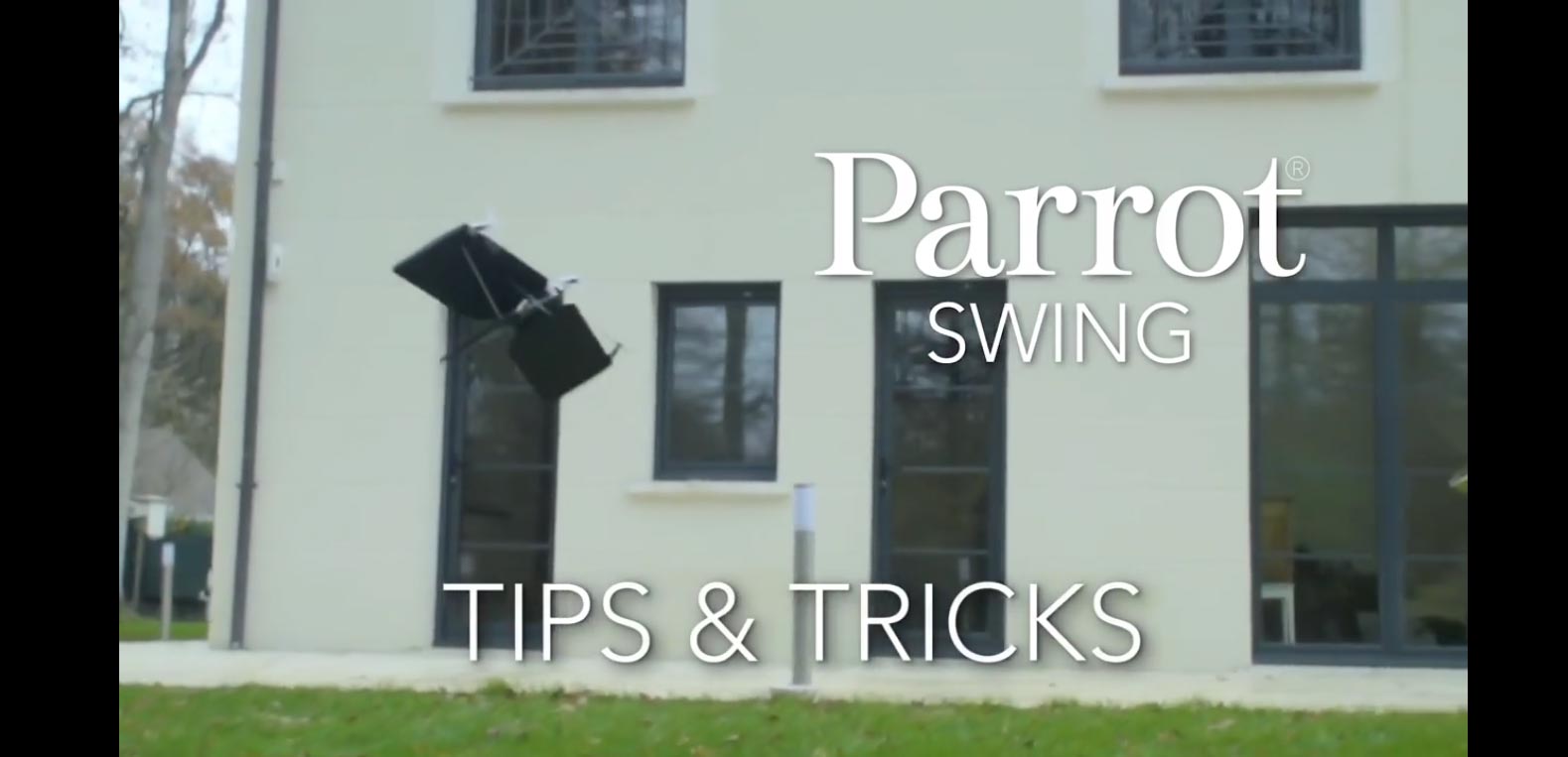 Parrot 2024 swing tricks