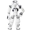 ربات انسان نمای هوشمند نائو نسخه ۶