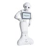 ربات انسان نمای پپر ربات اجتماعی با هوش مصنوعی