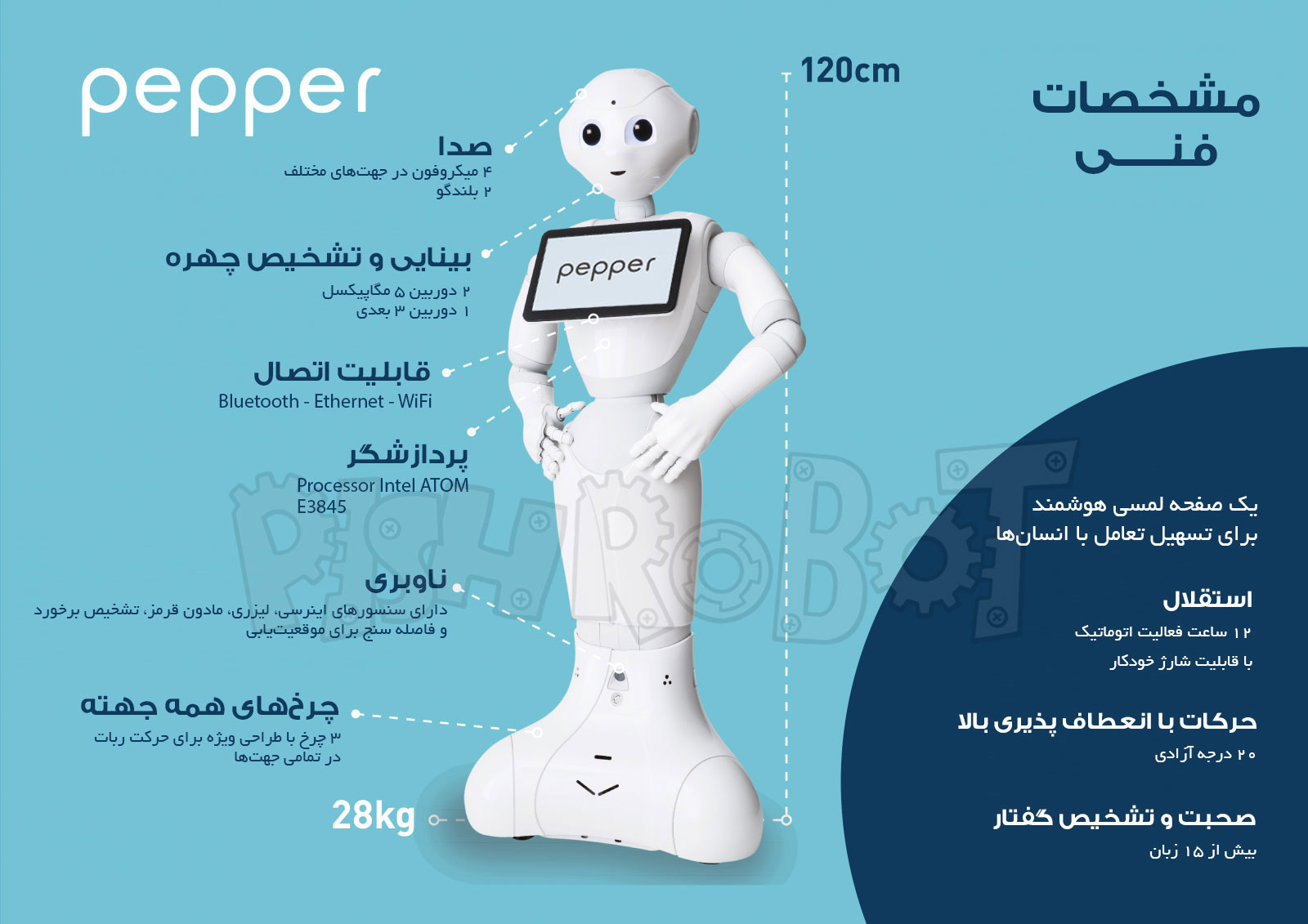 مشخصات فنی ربات انسان نمای پپر